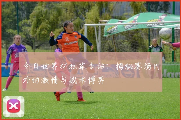 今日世界杯独家专访：揭秘赛场内外的激情与战术博弈
