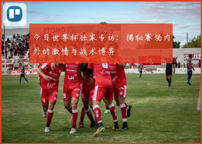 今日世界杯独家专访：揭秘赛场内外的激情与战术博弈